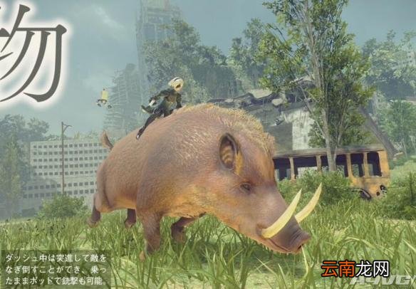 尼尔机械纪元游戏新场景细节图文解析 有哪些场景