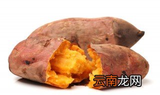 红薯干可以放冰箱冷藏保存吗 红薯干能放冰箱保鲜吗吗