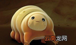 水熊虫是什么东西 水熊虫简介