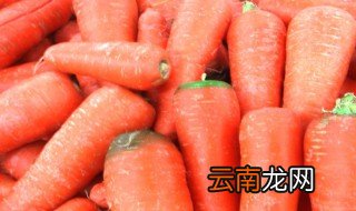 梦见红萝卜预示什么意思 梦见红萝卜含义