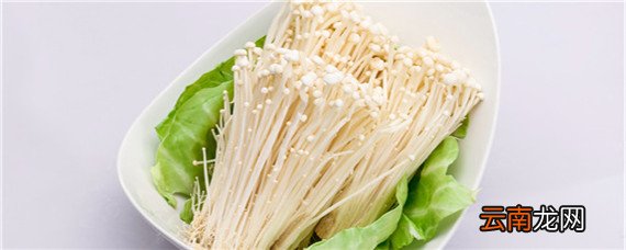 金针菇生长环境