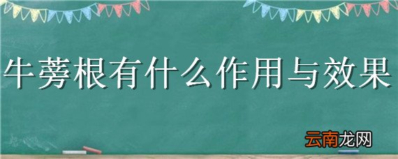 牛蒡根有什么作用与效果