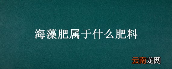 海藻肥属于什么肥料