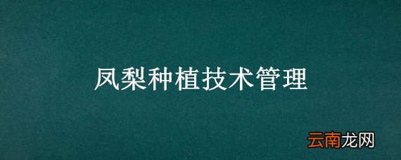 凤梨种植技术管理