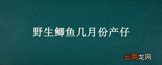 野生鲫鱼几月份产仔