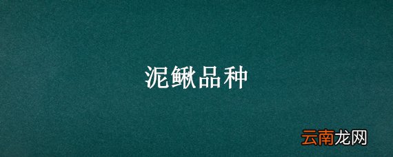 泥鳅品种