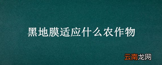 黑地膜适应什么农作物