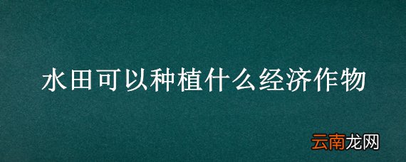 水田可以种植什么经济作物