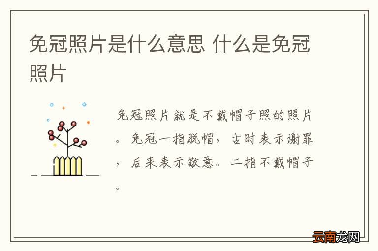免冠照片是什么意思 什么是免冠照片