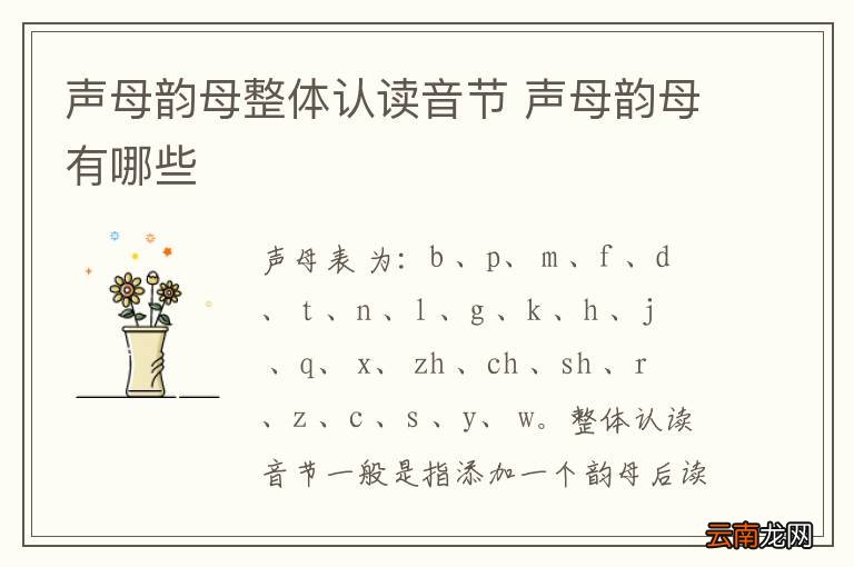 声母韵母整体认读音节 声母韵母有哪些