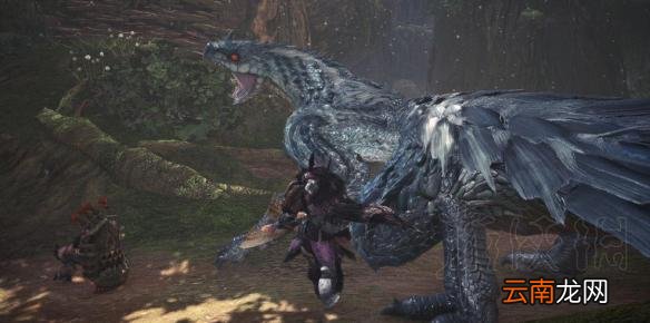 怪物猎人世界上位飞雷龙在哪 怪物猎人世界上位飞雷龙任务解锁条件介绍_网