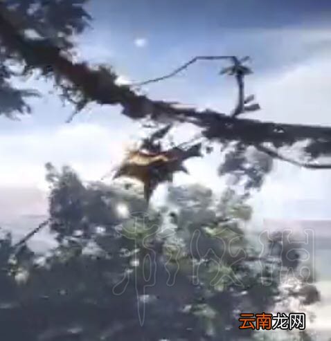 怪物猎人世界实用心得分享 怪物猎人世界有哪些实用心得_网