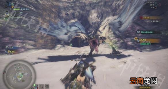 怪物猎人世界风漂龙在哪 怪物猎人世界风漂龙具体位置说明_网