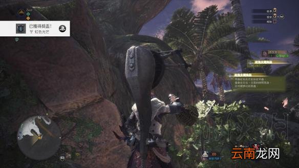 怪物猎人世界虹色大独角仙位置一览 虹色大独角仙在哪能抓到_网