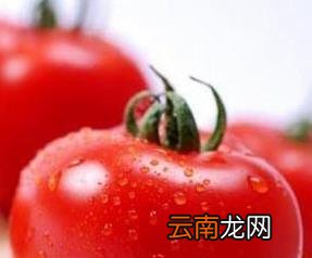 番茄几种常见做法,番茄家常做法