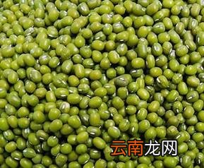 绿豆营养价值