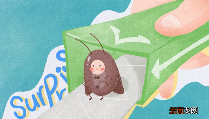 如何杀蟑螂 如何杀蟑螂最有效