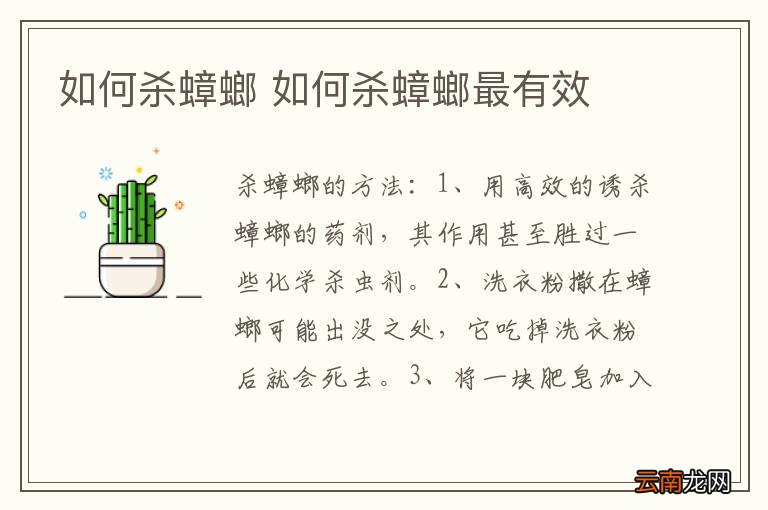 如何杀蟑螂 如何杀蟑螂最有效