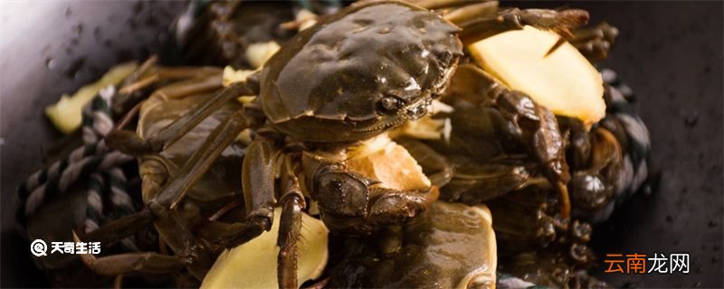 山螃蟹吃什么 山螃蟹吃什么食物