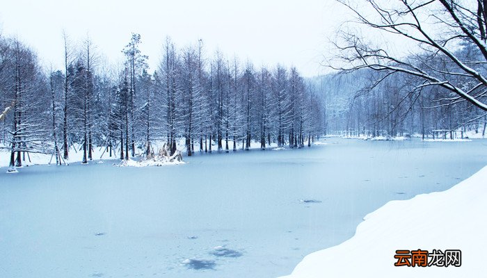 数九寒天是指冬天最冷的哪些日子 数九寒天是指冬天最冷的那些日子