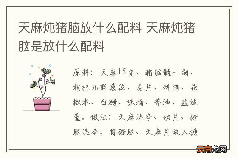 天麻炖猪脑放什么配料 天麻炖猪脑是放什么配料