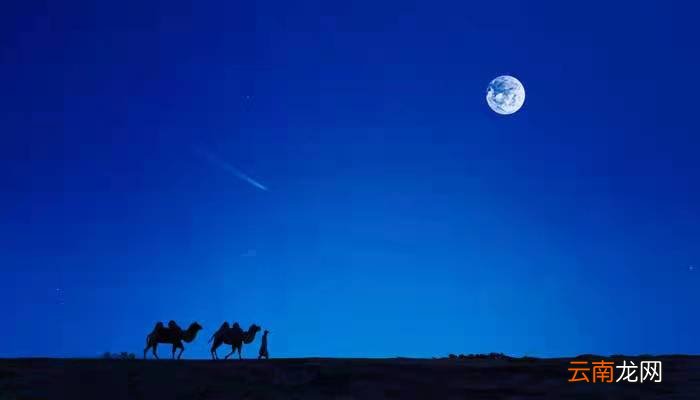 同一个月亮的诗句看的是同一个月亮的诗句