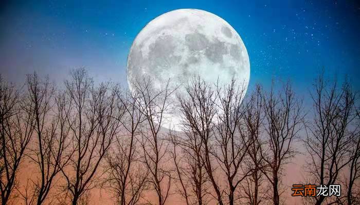 同一个月亮的诗句看的是同一个月亮的诗句