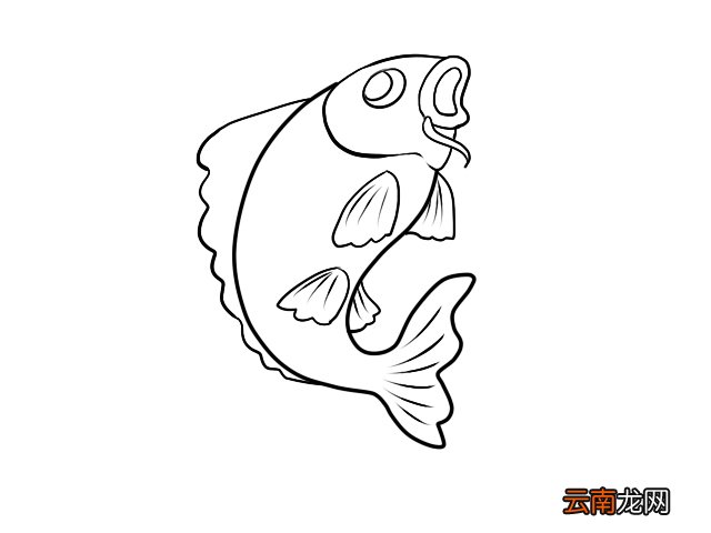 鲤鱼简笔画 零基础学鲤鱼简笔画