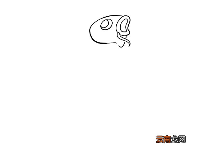 鲤鱼简笔画 零基础学鲤鱼简笔画