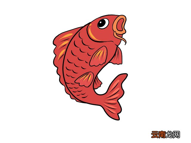 鲤鱼简笔画 零基础学鲤鱼简笔画