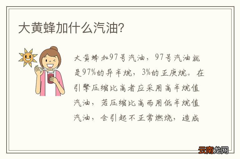 大黄蜂加什么汽油？