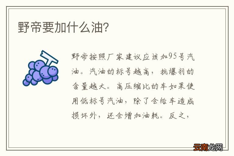 野帝要加什么油？
