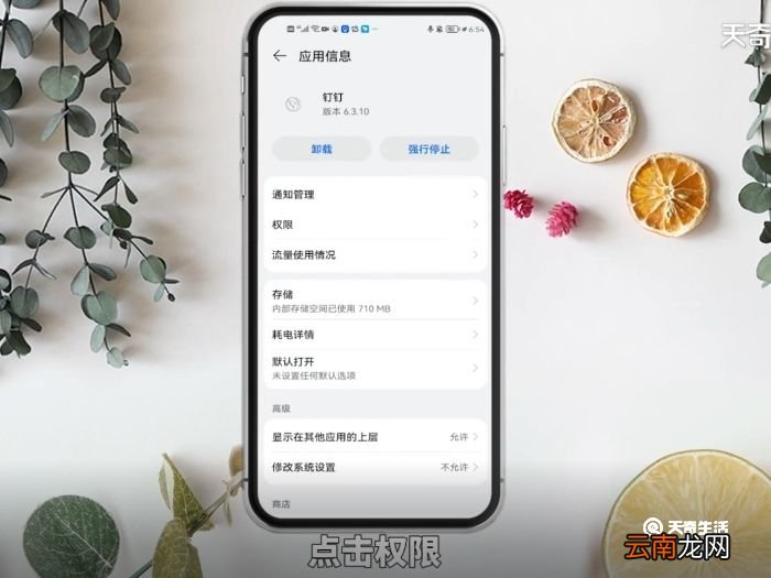 钉钉怎么关闭摄像头 钉钉关闭摄像头的方法
