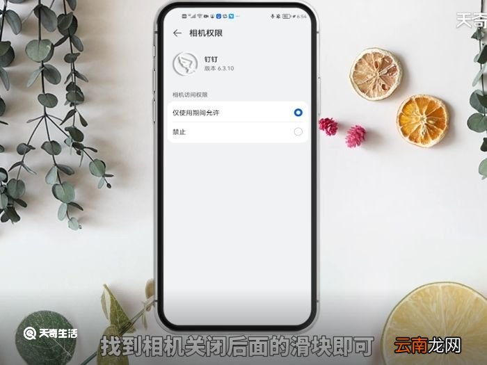钉钉怎么关闭摄像头 钉钉关闭摄像头的方法