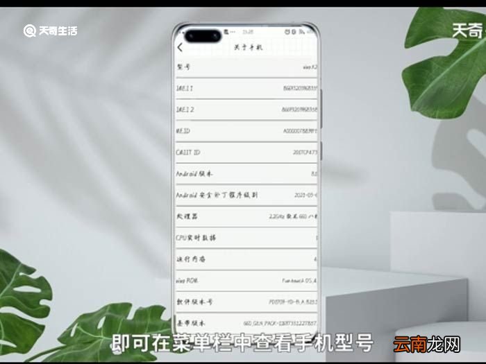 vivo怎么看自己的手机是什么型号 vivo怎么看自己的手机是什么型号的