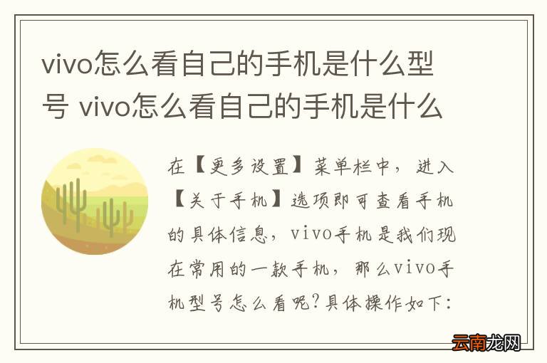 vivo怎么看自己的手机是什么型号 vivo怎么看自己的手机是什么型号的
