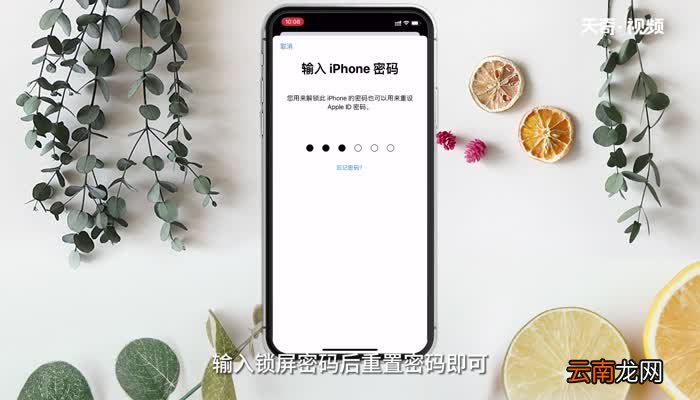 苹果手机忘记id密码怎么修改 苹果手机忘记id密码如何修改
