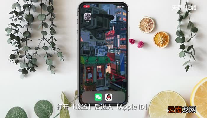 苹果手机忘记id密码怎么修改 苹果手机忘记id密码如何修改