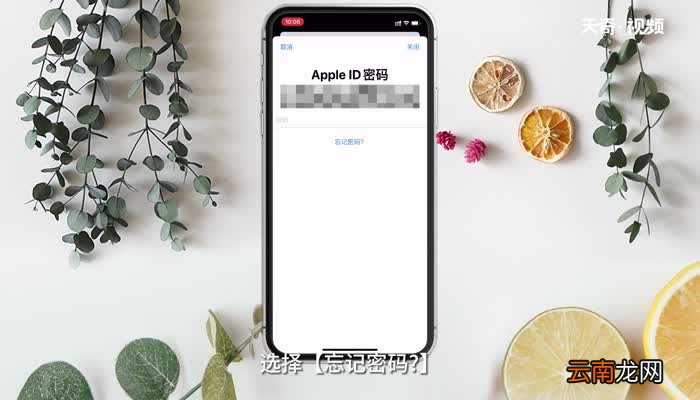 苹果手机忘记id密码怎么修改 苹果手机忘记id密码如何修改