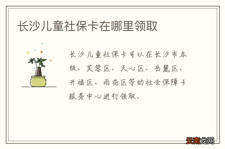 长沙儿童社保卡在哪里领取