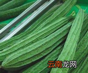 宝宝的酷暑丝瓜清凉餐