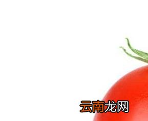 番茄的药用价值