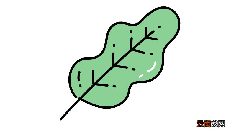 树叶简笔画图片教程怎么画