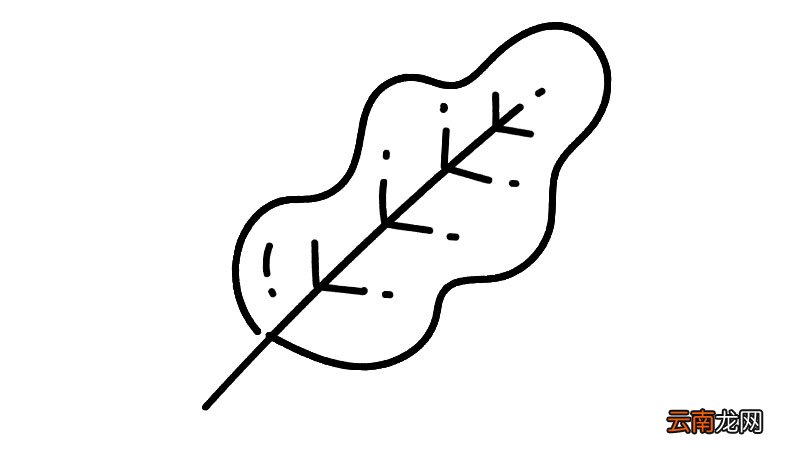 树叶简笔画图片教程怎么画