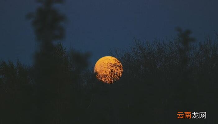 月是故乡明出自于杜甫的什么 月是故乡明的题目出自哪首诗