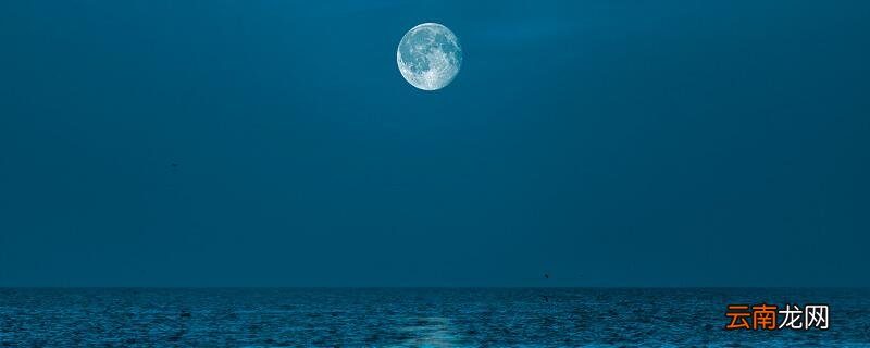 月是故乡明出自于杜甫的什么 月是故乡明的题目出自哪首诗