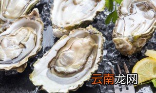 生蚝怎样挑选好吃，生蚝怎样挑选好吃还是不好
