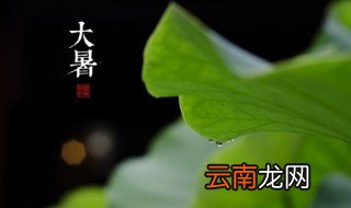 大暑应该怎么吃 大暑吃什么