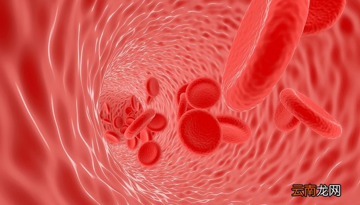 制备红细胞悬液需要的物品 制备红细胞悬液需要哪些物品