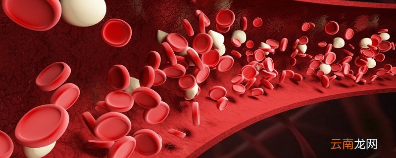 制备红细胞悬液需要的物品 制备红细胞悬液需要哪些物品